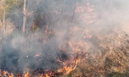 Пожар в Броварском районе