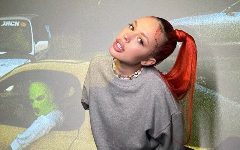 Инстасамка